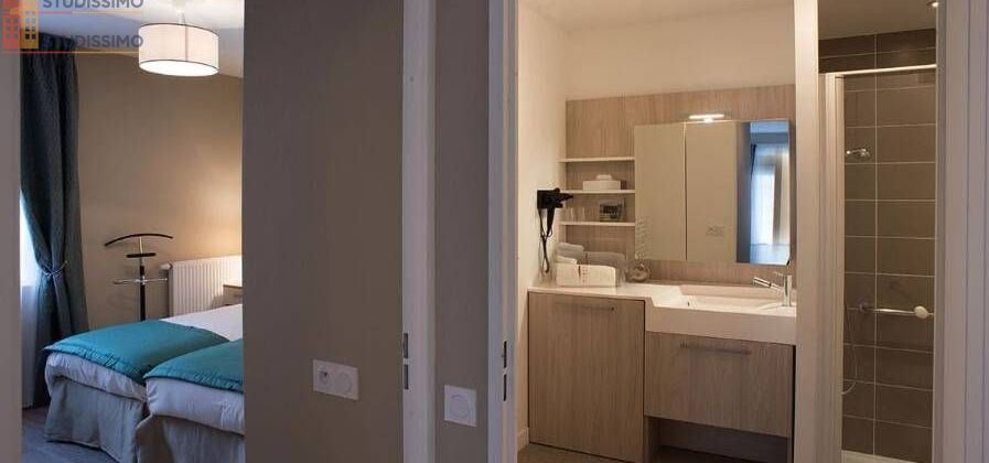 Studio meublé 30m² Blois - Lumineux - Photo 6
