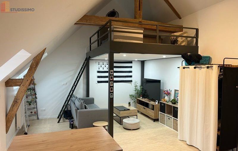 Studio 30m² Morée 41160 - Neuf, DPE C - Photo 21