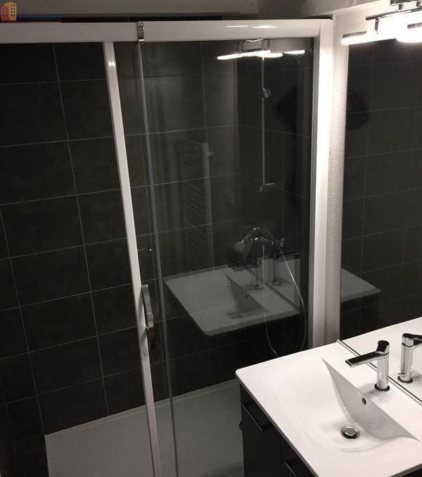 Studio meublé 27m² Saint-Étienne 42100 - Proche université Jean Monnet - Photo 4