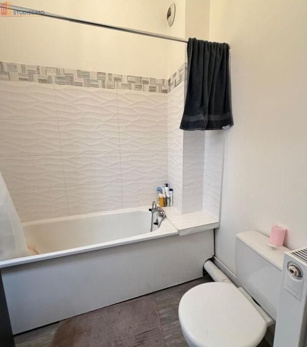 Studio 22m² Saint-Étienne - DPE D, 1er étage - Photo 3