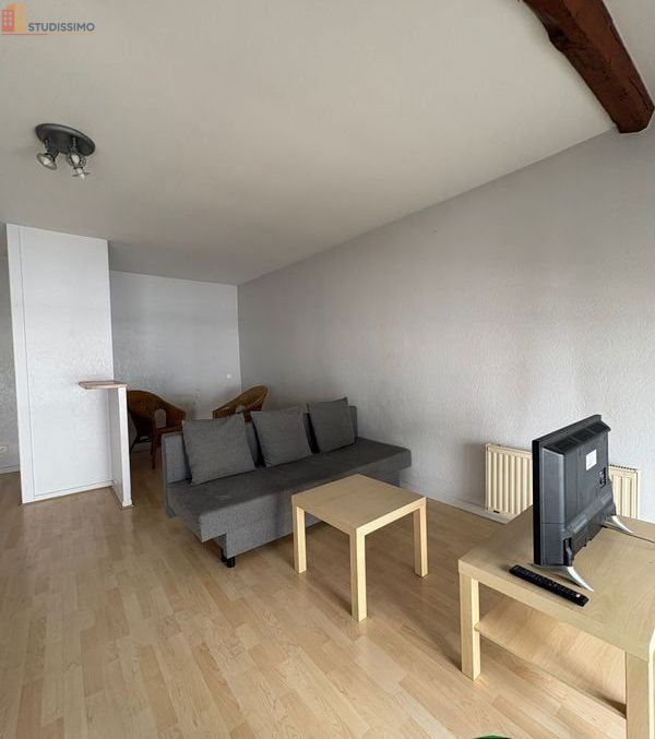 Studio 37m² Saint-Étienne 42000 - Meublé, DPE D - Photo 19