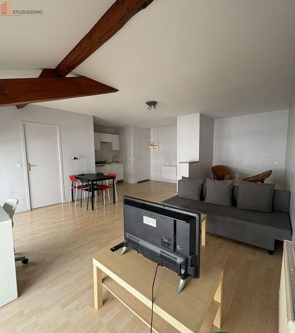 Studio 37m² Saint-Étienne 42000 - Meublé, DPE D - Photo 18