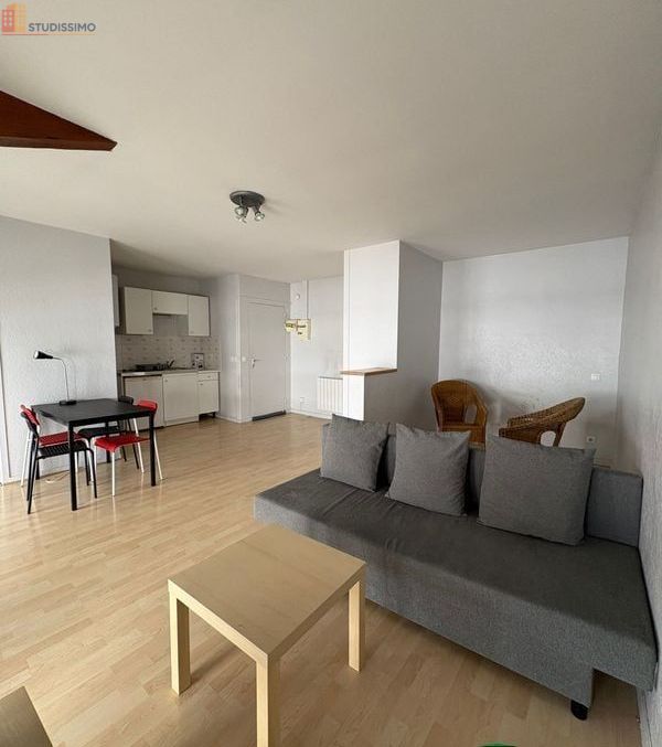 Studio 37m² Saint-Étienne 42000 - Meublé, DPE D - Photo 15
