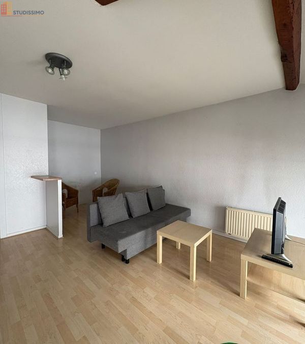 Studio 37m² Saint-Étienne 42000 - Meublé, DPE D - Photo 13