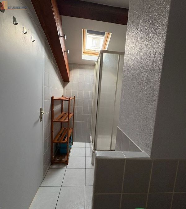 Studio 37m² Saint-Étienne 42000 - Meublé, DPE D - Photo 8