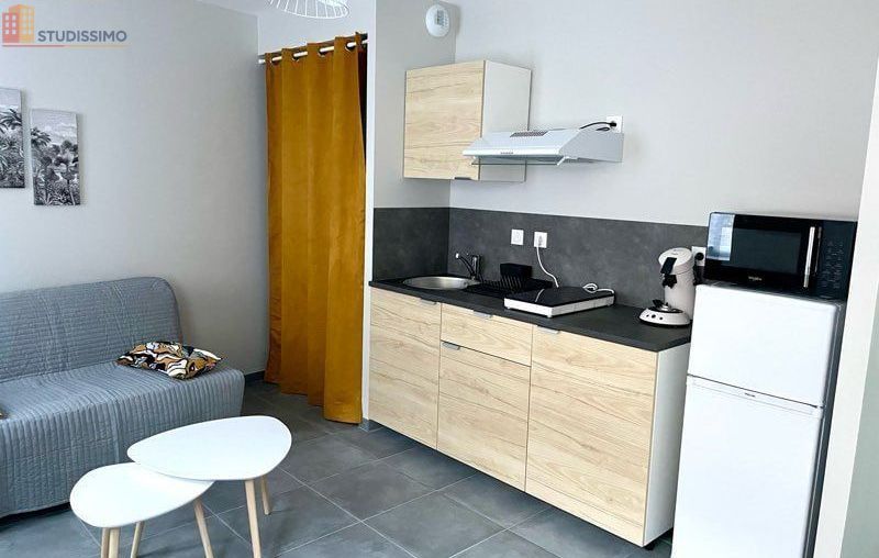 Studio meublé 27m² Saint-Pierre-de-Boeuf - Meublé, DPE D - Photo 2