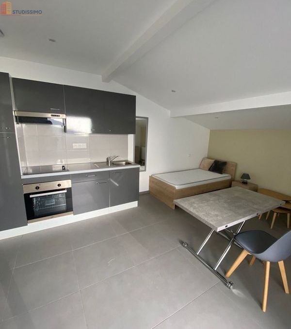 Studio meublé 23m² Saint-Étienne 42000 - Meublé, DPE D - Photo 11
