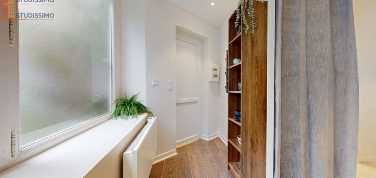 Studio meublé 21m² Saint-Étienne 42100 - Meublé, DPE C - Photo 12