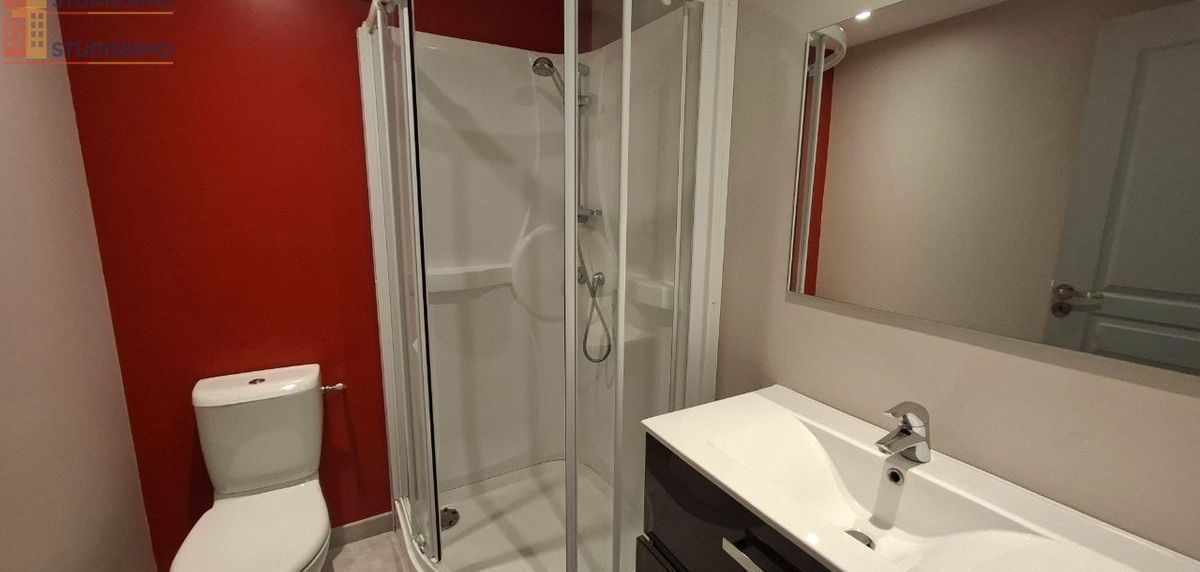 Studio 22m² Montbrison - Meublé, DPE C - Photo 6