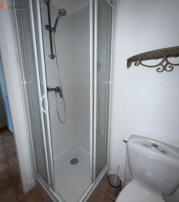 Studio meublé 15m² Saint-Étienne 42000 - Meublé, DPE D - Photo 3