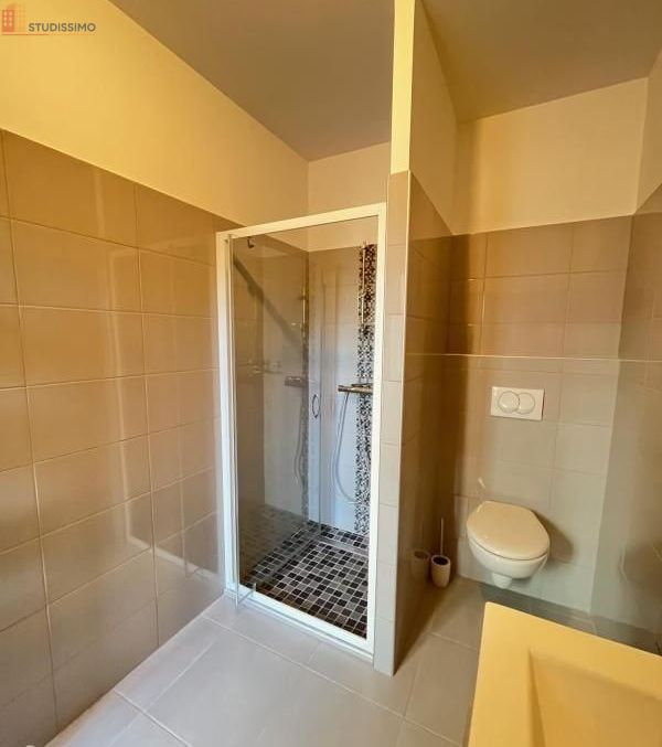 Studio 27m² Saint-Étienne 42100 - Photo 13