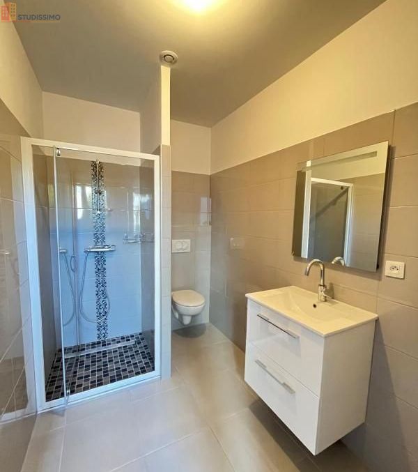 Studio 27m² Saint-Étienne 42100 - Photo 6