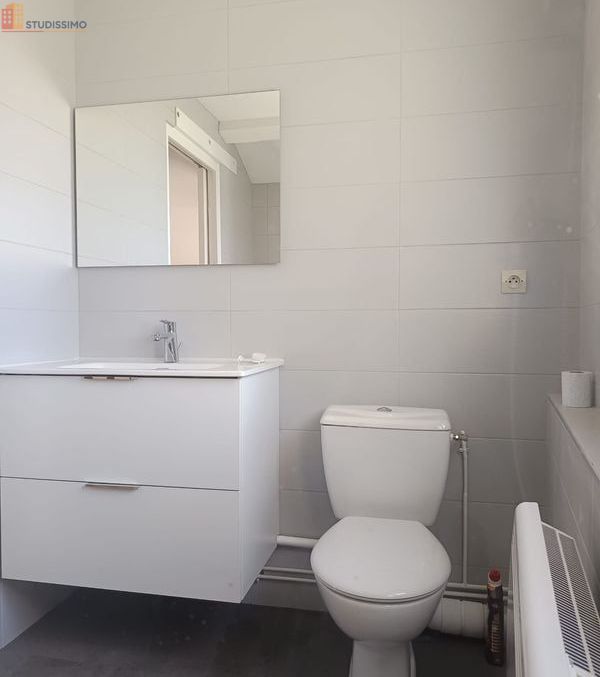Studio 36m² Briennon 42720 - Rénové, mezzanine - Photo 1
