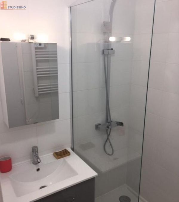 Studio meublé 29m² Saint-Étienne - Lumineux - Photo 3
