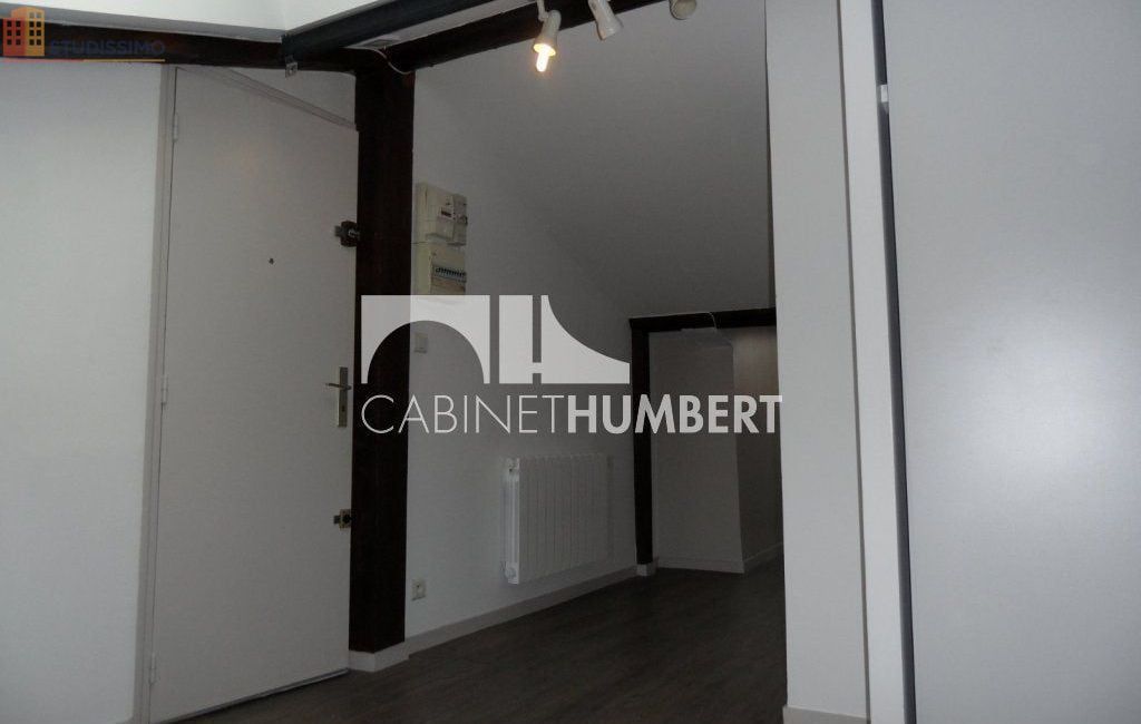 Studio 23m² Saint-Étienne - 3e étage, lumineux - Photo 11