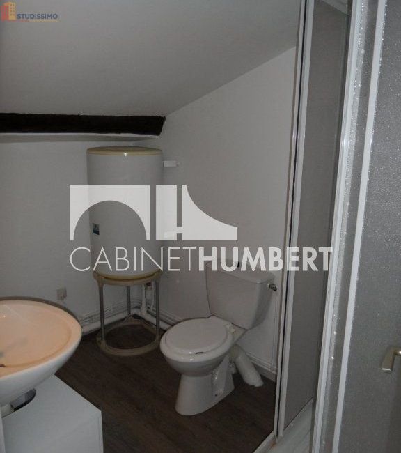Studio 23m² Saint-Étienne - 3e étage, lumineux - Photo 5