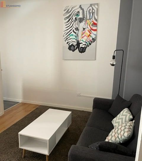Studio meublé 23m² Saint-Étienne centre - Meublé, 1er étage - Photo 20