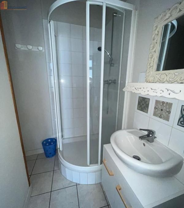 Studio meublé 22m² Saint-Étienne - Meublé, DPE D - Photo 24