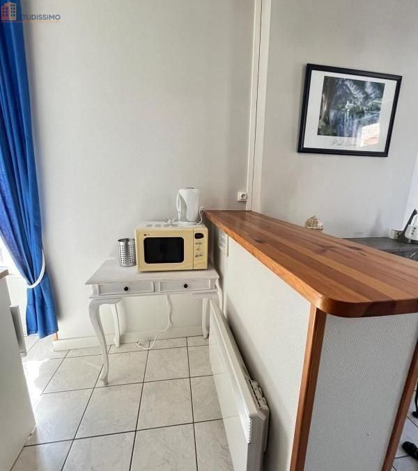 Studio meublé 22m² Saint-Étienne - Meublé, DPE D - Photo 7