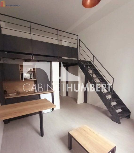 Studio 30m² Saint-Étienne 42100 - Meublé, DPE C - Photo 29