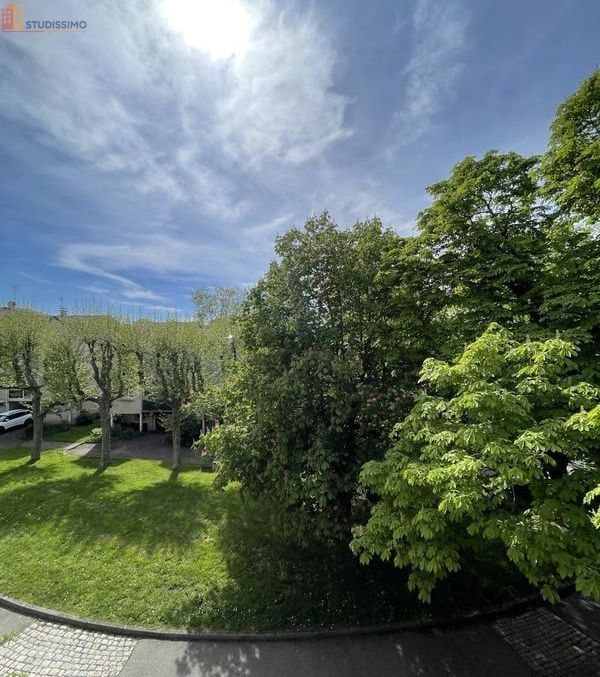 Studio 29m² Saint-Étienne 42100 - Meublé, lumineux - Photo 2