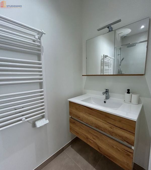 Studio meublé 24m² Roanne - Lumineux, meublé - Photo 1