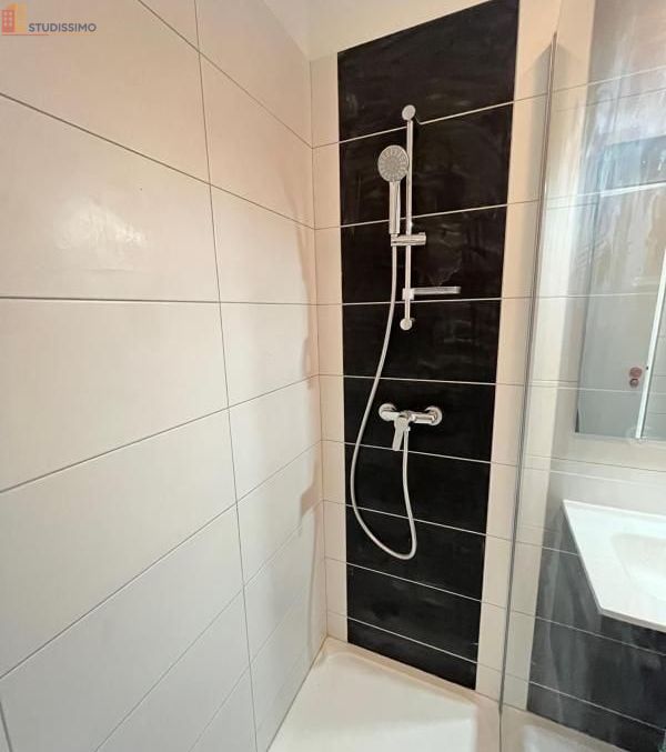 Studio 30m² Saint-Étienne 42000 - Étage 3, DPE D - Photo 17