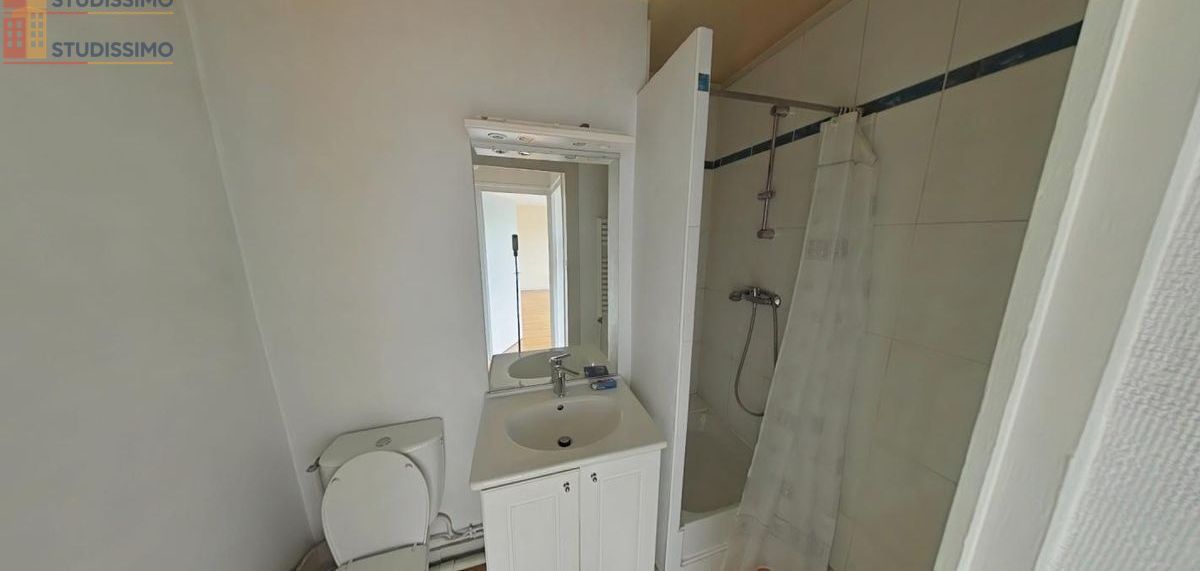 Studio 25m² Saint-Étienne 42000 - Étage élevé, lumineux - Photo 11