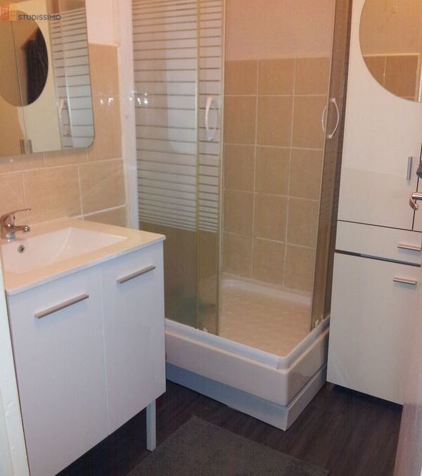 Studio 26m² Saint-Étienne 42100 - Meublé, internet compris - Photo 19