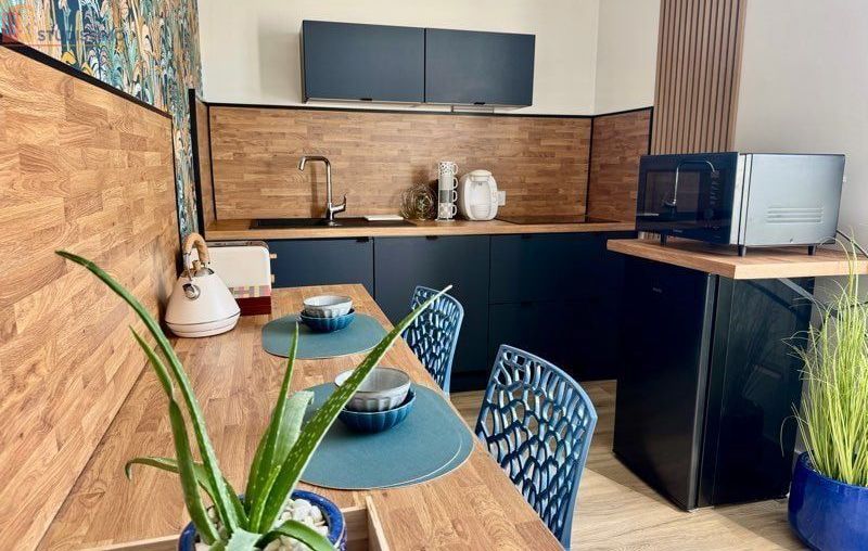 Studio 40m² Saint-Étienne 42100 - Meublé, terrasse - Photo 4