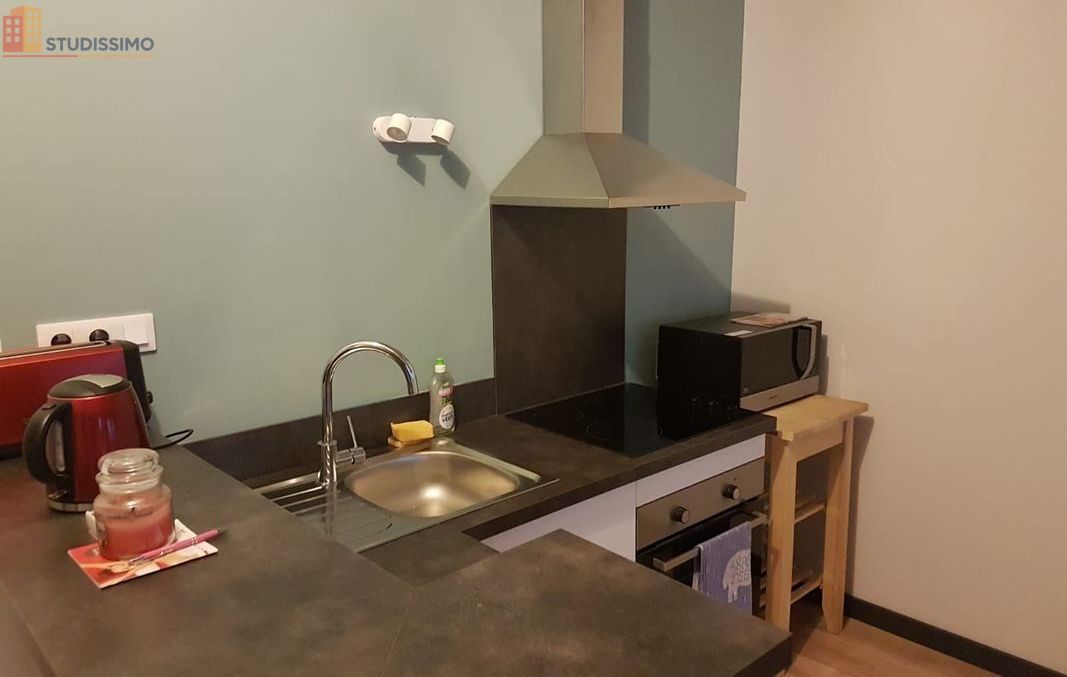 Studio 30m² Saint-Étienne centre - Coup de coeur, lumineux - Photo 2