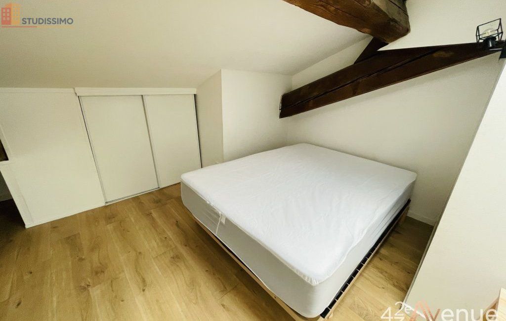 Studio 21m² Saint-Étienne 42000 - Meublé, dernier étage - Photo 24