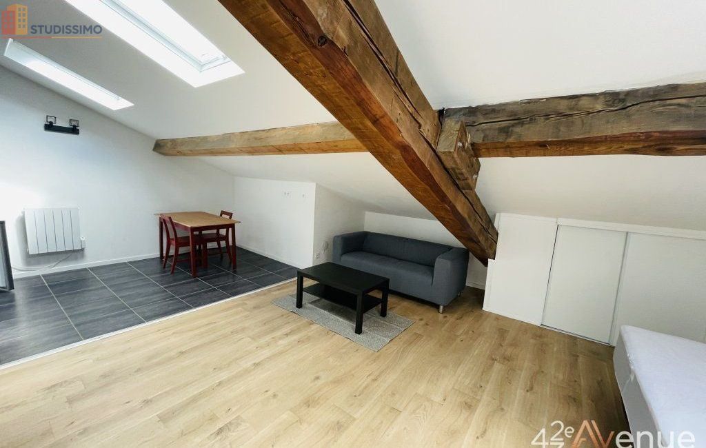 Studio 21m² Saint-Étienne 42000 - Meublé, dernier étage - Photo 11