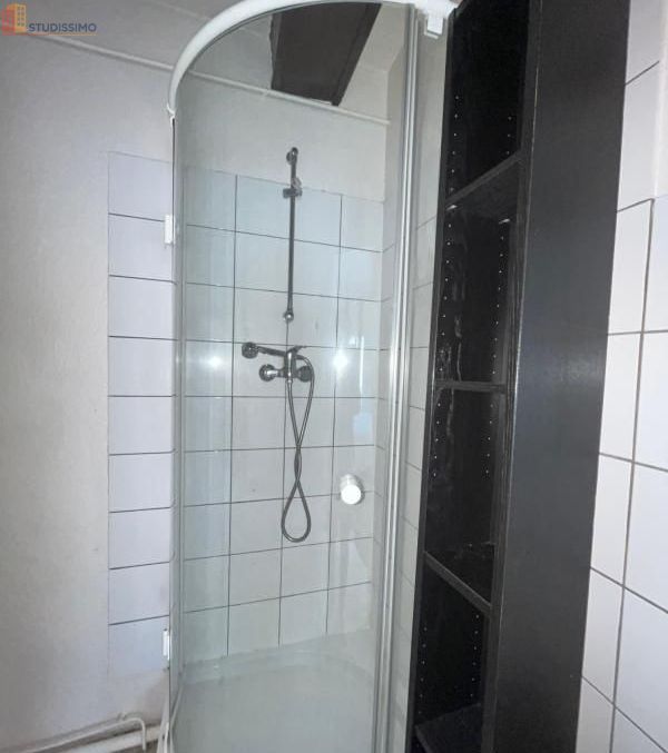 Studio meublé 25m² Saint-Étienne 42000 - Meublé, 3e étage - Photo 2