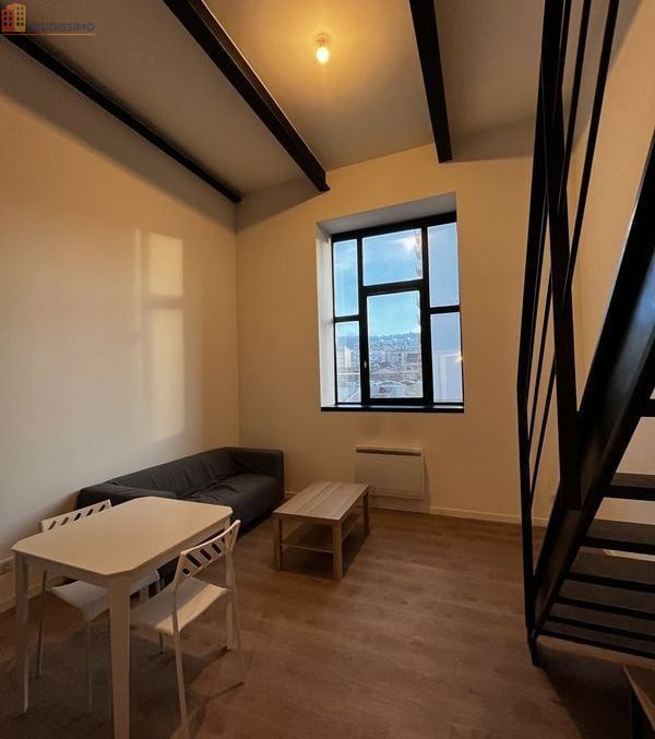 Studio 33m² Saint-Étienne 42100 - Meublé, lumineux - Photo 3