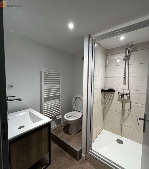 Studio 33m² Saint-Étienne 42100 - Meublé, lumineux - Photo 1