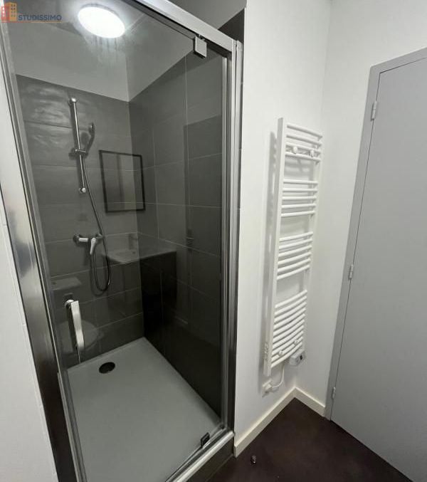 Studio 26m² Saint-Étienne 42000 - Meublé, DPE C - Photo 6