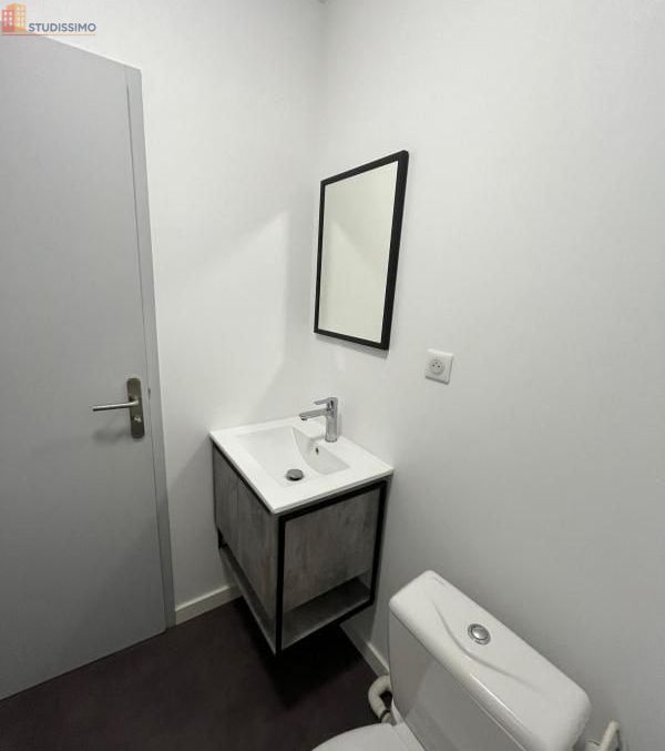 Studio 26m² Saint-Étienne 42000 - Meublé, DPE C - Photo 4