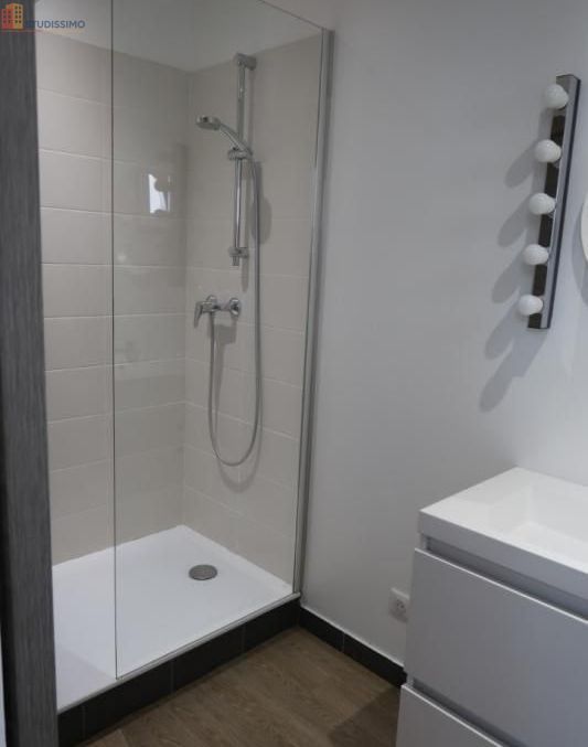 Studio 36m² Saint-Étienne - 1er étage, lumineux - Photo 9