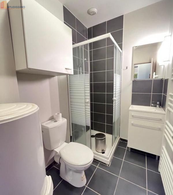 Studio meublé 17m² Saint-Étienne - Meublé, DPE C - Photo 1