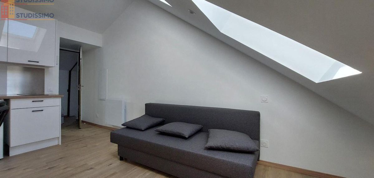 Studio 25m² Saint-Étienne 42000 - Étage élevé, DPE D - Photo 9