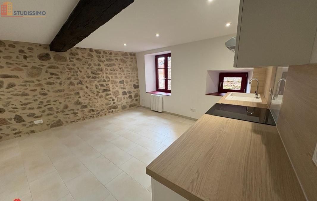 Studio 35m² Saint-Haon-le-Châtel - lumineux, rénové - Photo 23