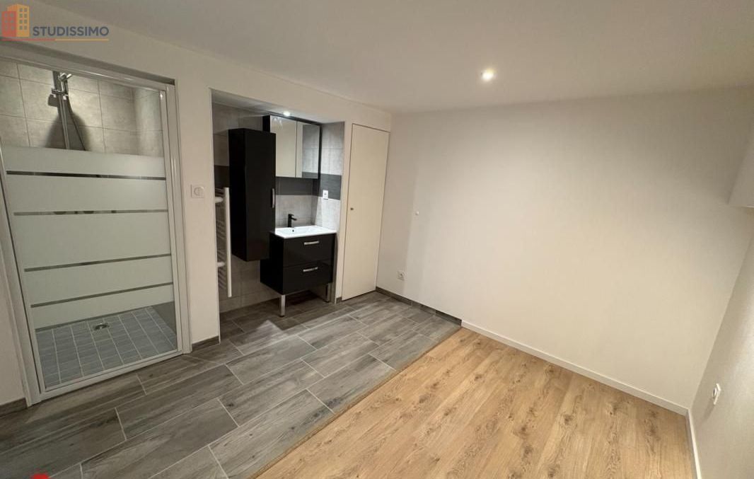 Studio 35m² Saint-Haon-le-Châtel - lumineux, rénové - Photo 16