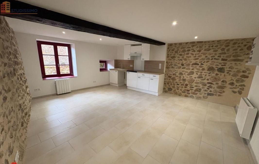 Studio 35m² Saint-Haon-le-Châtel - lumineux, rénové - Photo 0