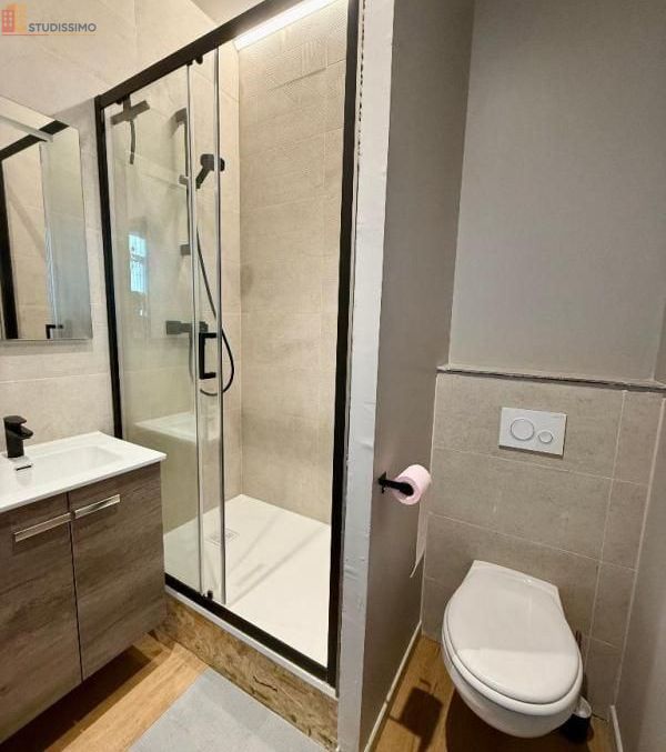 Studio meublé 21m² Saint-Étienne 42000 - Meublé, 1 pièce - Photo 23