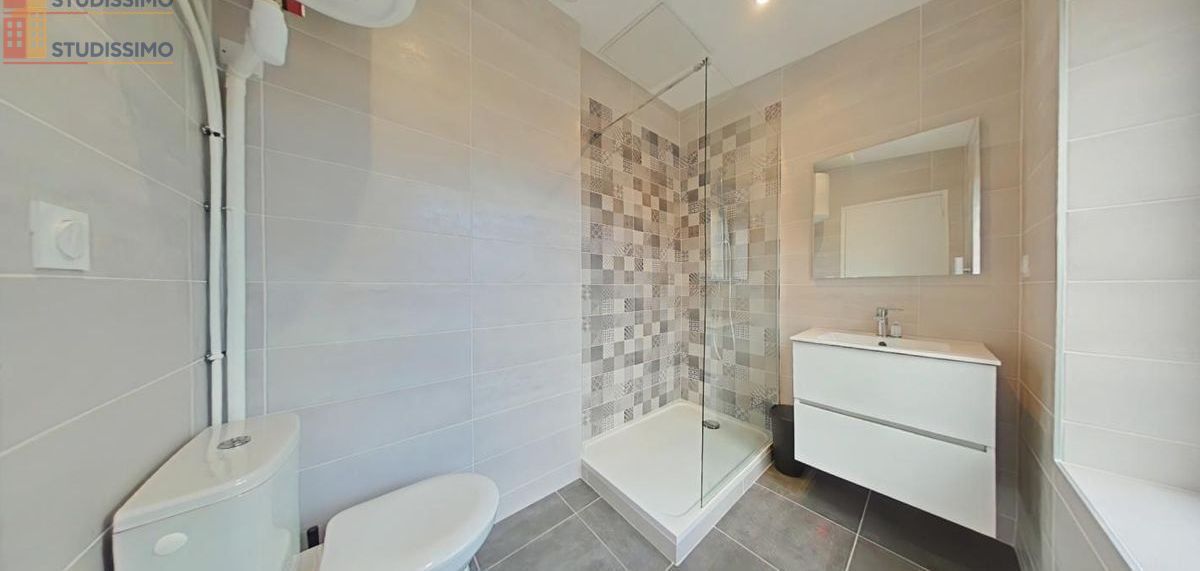 Studio meublé 23m² Saint-Étienne - Meublé, DPE D - Photo 11