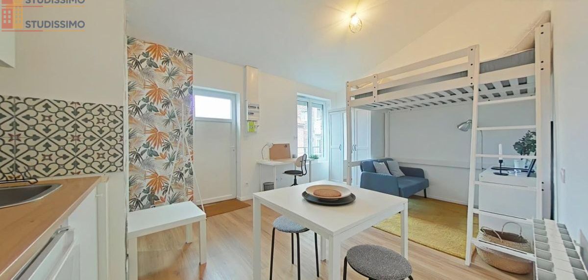 Studio meublé 23m² Saint-Étienne - Meublé, DPE D - Photo 7