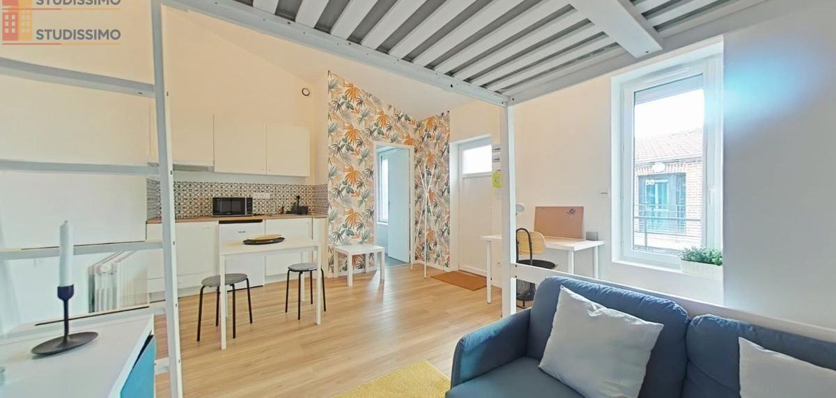 Studio meublé 23m² Saint-Étienne - Meublé, DPE D - Photo 6