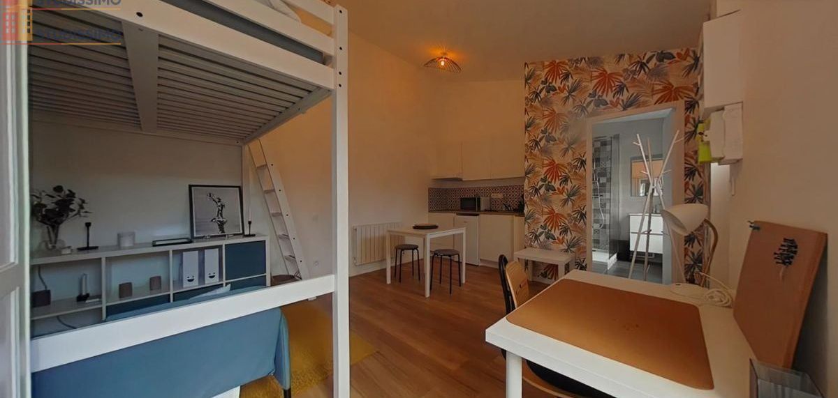 Studio meublé 23m² Saint-Étienne - Meublé, DPE D - Photo 4