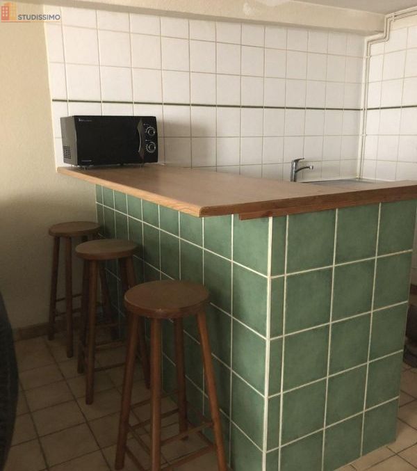 Studio 29m² Saint-Étienne - lumineux - Photo 7